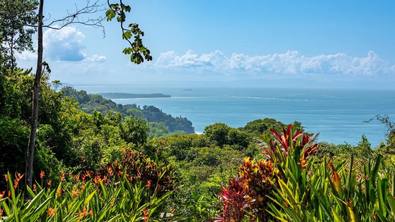 Whale's Tail Ocean View Estate with Extra Lot in Between Uvita and Dominical - photo 3