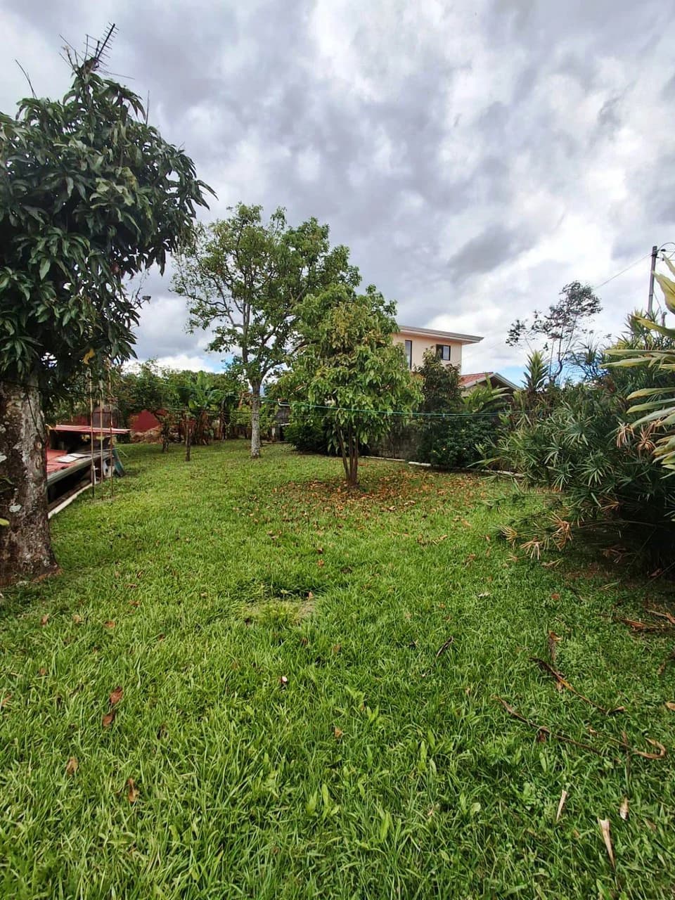 Casa Convenience: Grecia Garden Home on Large Lot + Rental Apartment! - photo 3