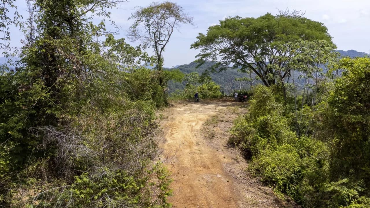 Farm for sale in Puntarenas Lepanto Costa Rica - photo 5