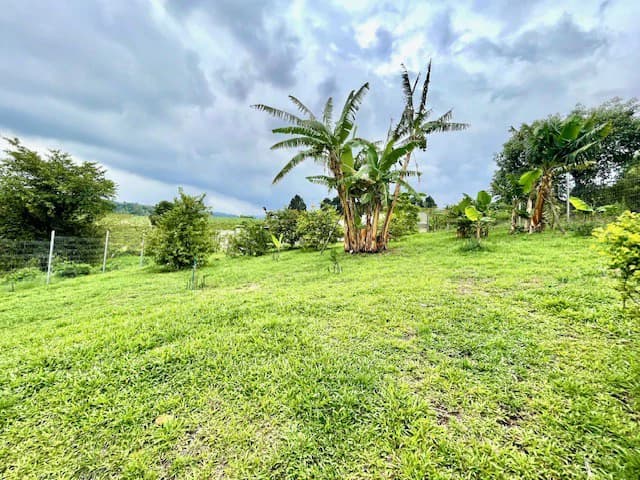 CA-005 Casa del Invernadero: Premium 3-BR on the First Floor (2 master) Gated Estate in Grecia | Turnkey Furnished Option | Private Greenhouse and Fruit Trees | River Access with Trails