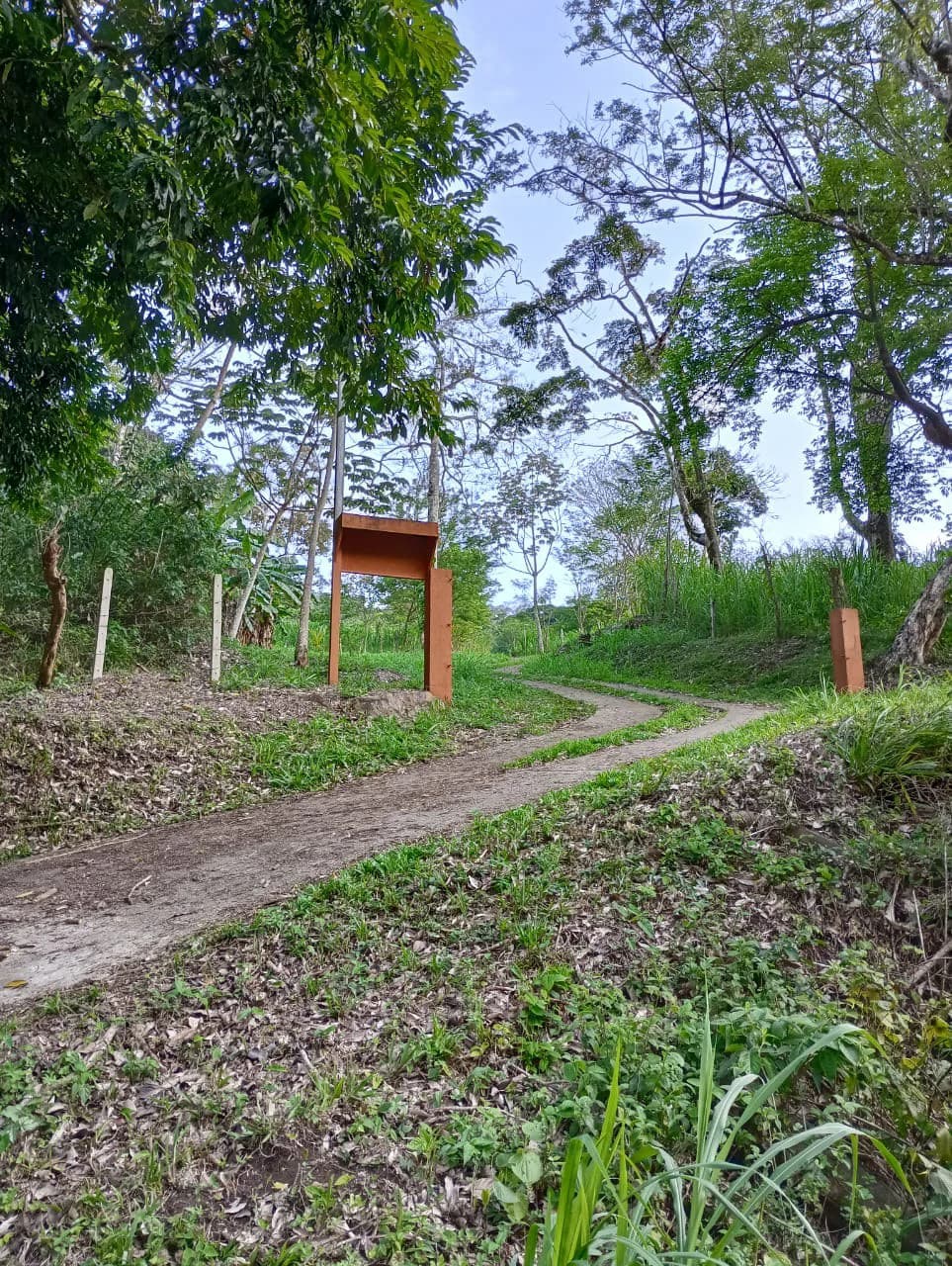 Jungle Paradise: Off Grid Studio Cabina Bordered By A Creek-Perfect For The Nomad Lifestyle