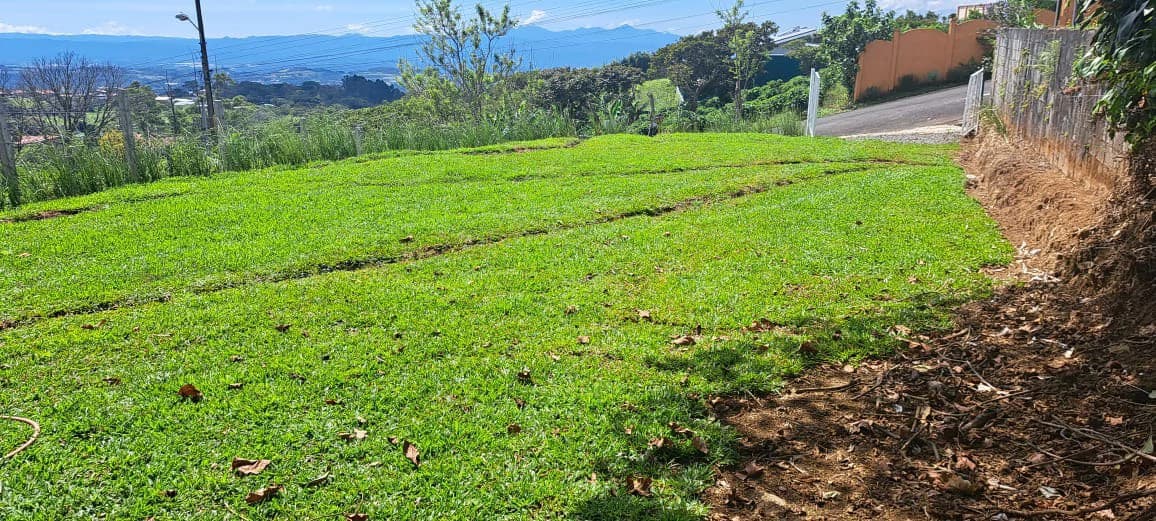 Lot for Sale in San Isidro de Grecia – Fresh Climate and Stunning Views - photo 3