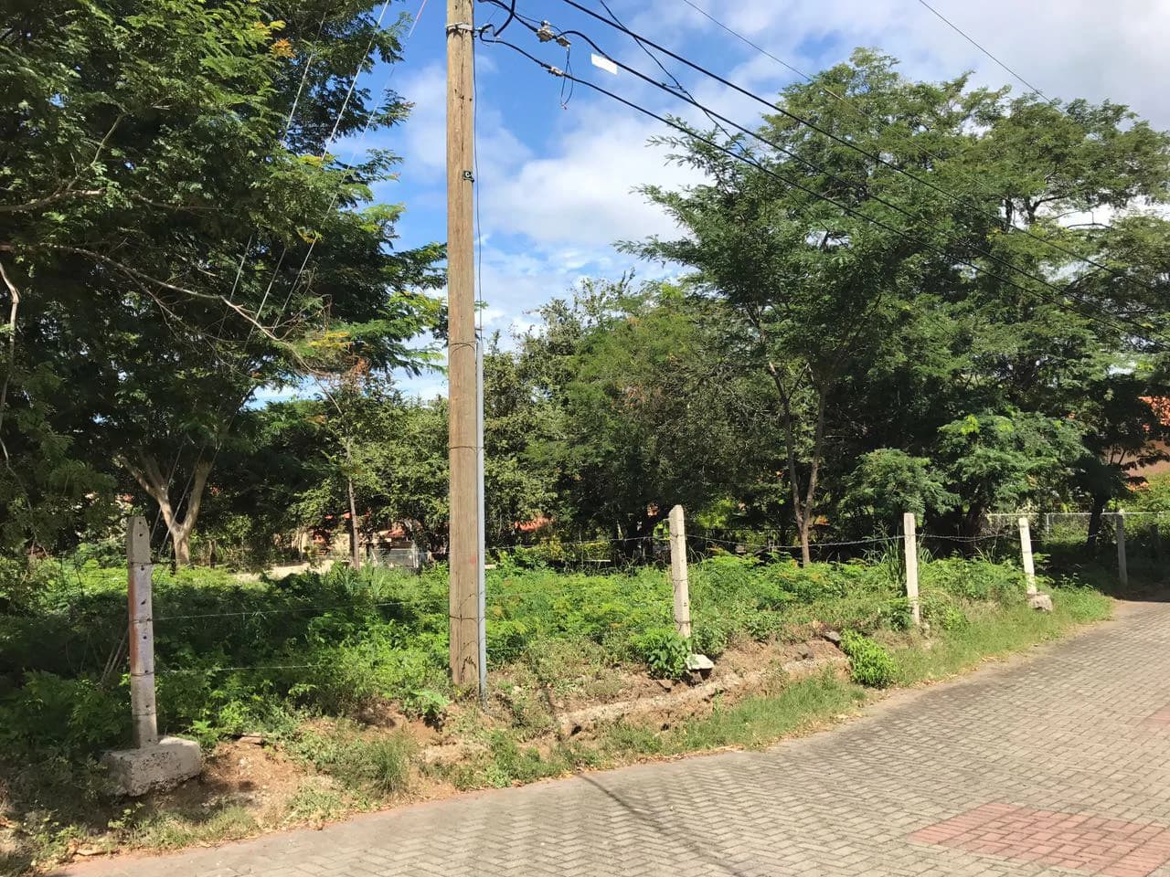 Commercial Property for Sale Located in Playa Hermosa, Guanacaste - photo 5