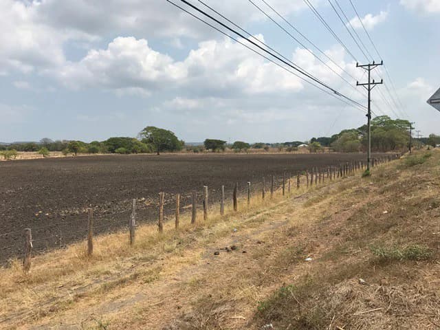 Great opportunity: Big property in Palmira de Carrillo - photo 4