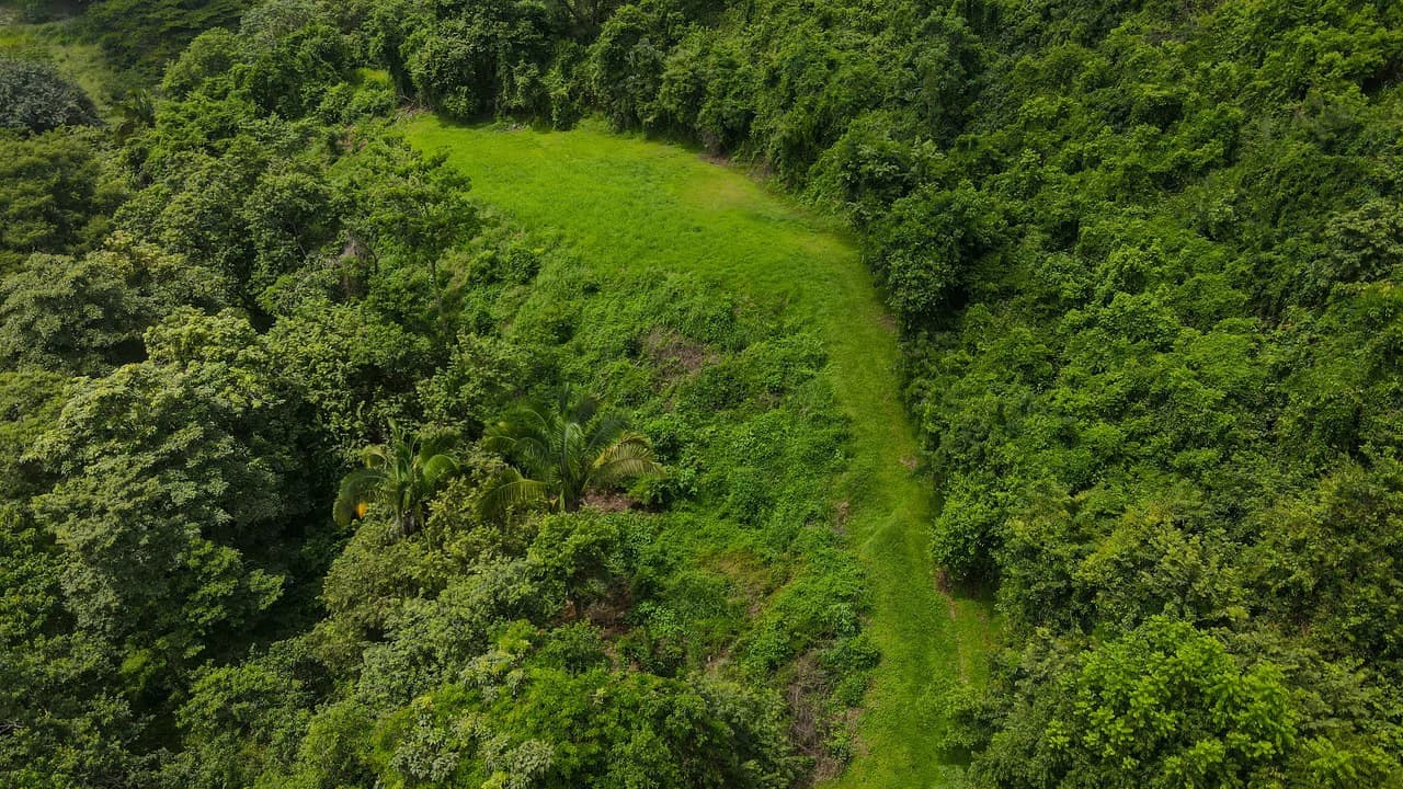 Ocean View Lot for Sale Guanacaste Costa Rica San Miguel Beach Tittled - photo 10