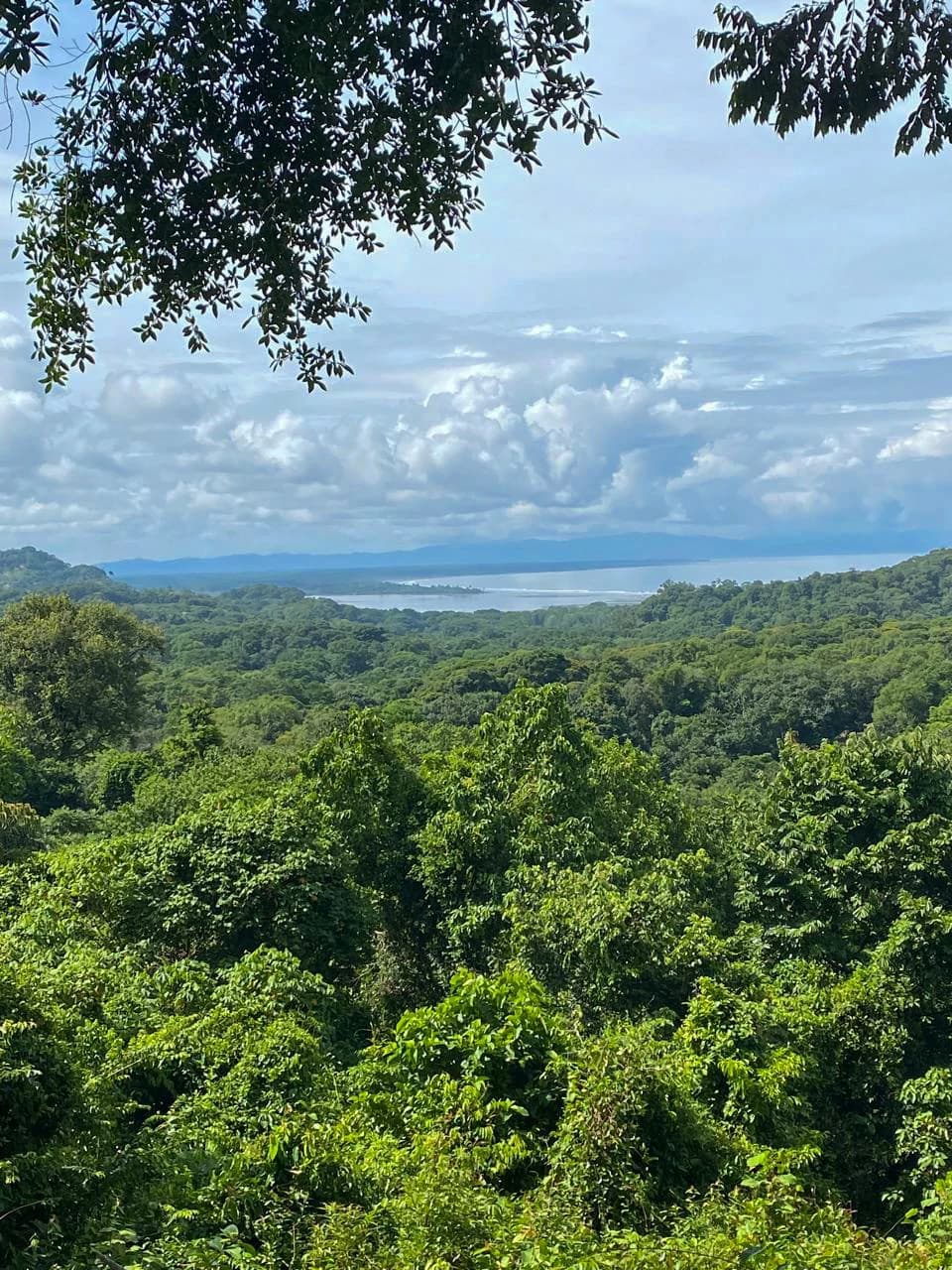 Spectacular Ocean view on 7.7 acres: Mountain Home Construction Site For Sale in Bahía Ballena