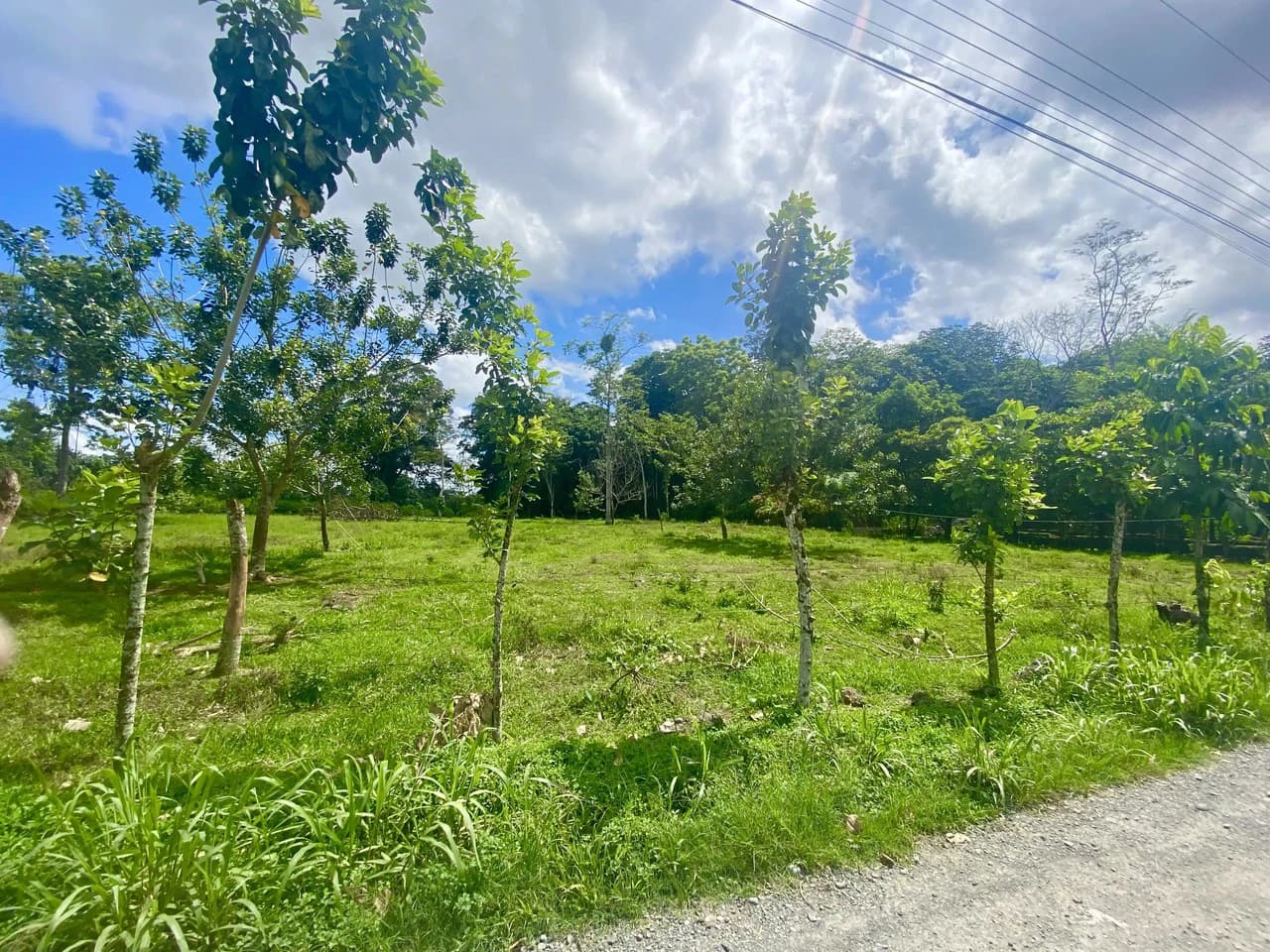 Mountain Home Construction Site For Sale in La Fortuna - photo 5