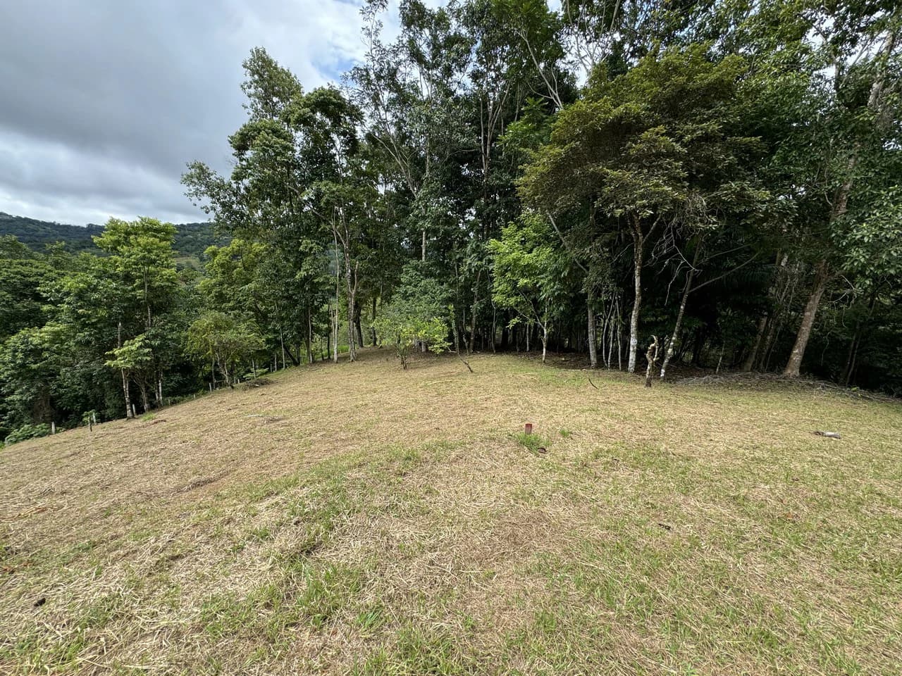 Diamante Waterfall View Land in Dominical 2.9 Acres - photo 32