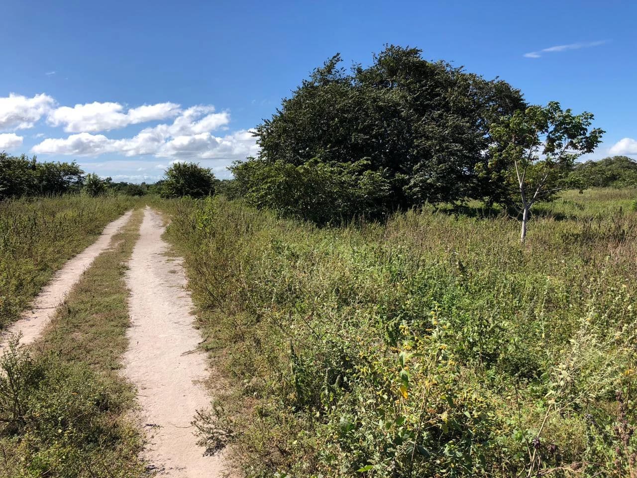 Property near the airport in Liberia – Strategic investment opportunity