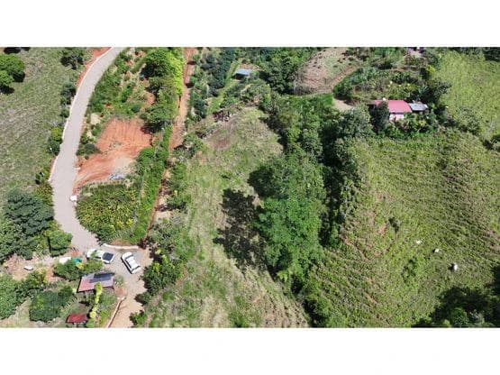 Panoramic View Lot with Tranquil Creek and Easy Access to San Isidro - photo 9