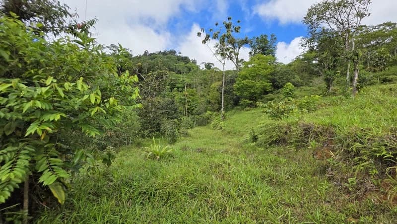 116-Hectare Finca for Sale Near Uvita with Whales Tail Views and 10 Waterfalls | La Faralla, Bahia Ballena, Uvita, Puntarenas, Costa Rica - photo 47