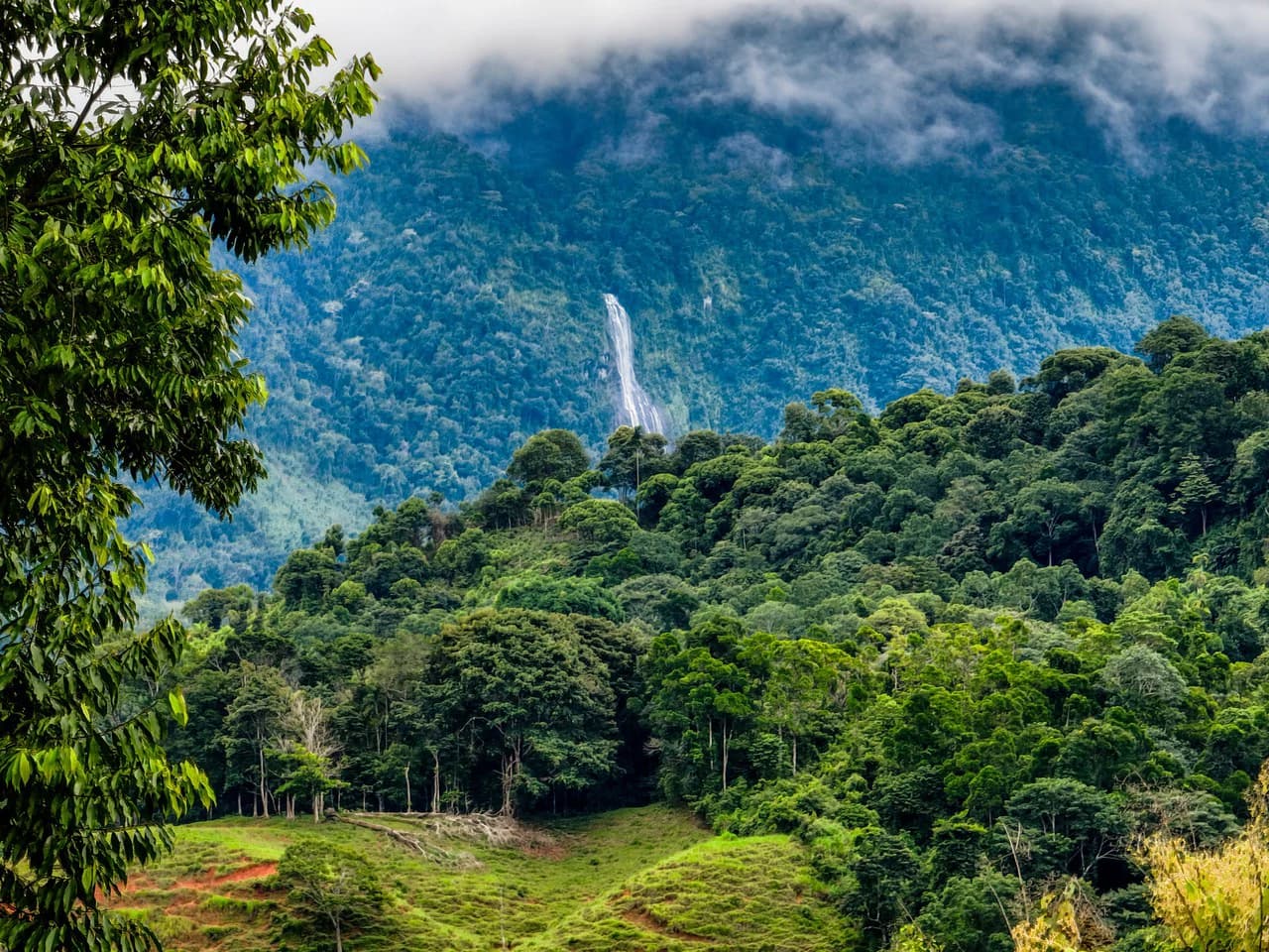 2.4 Acre Property In The Mountains Above Dominical with Waterfall Views