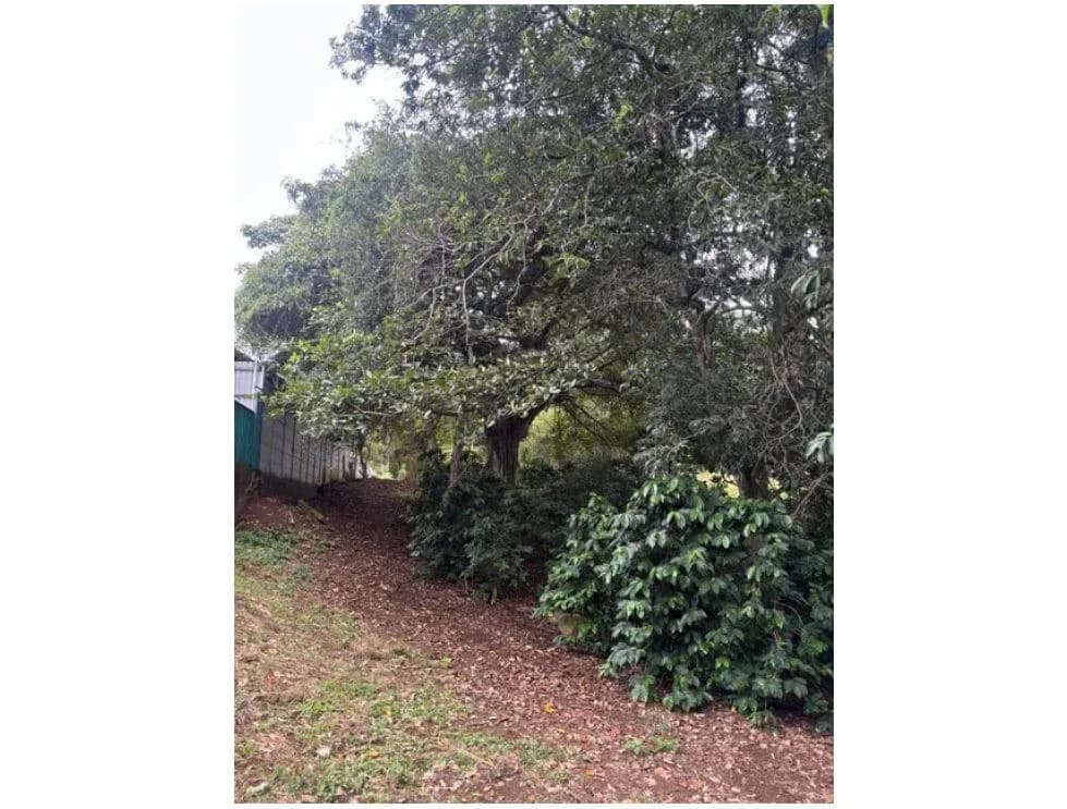 8223 m² Land in Atenas, Alajuela: Private Development in Natural Surroundings - photo 1