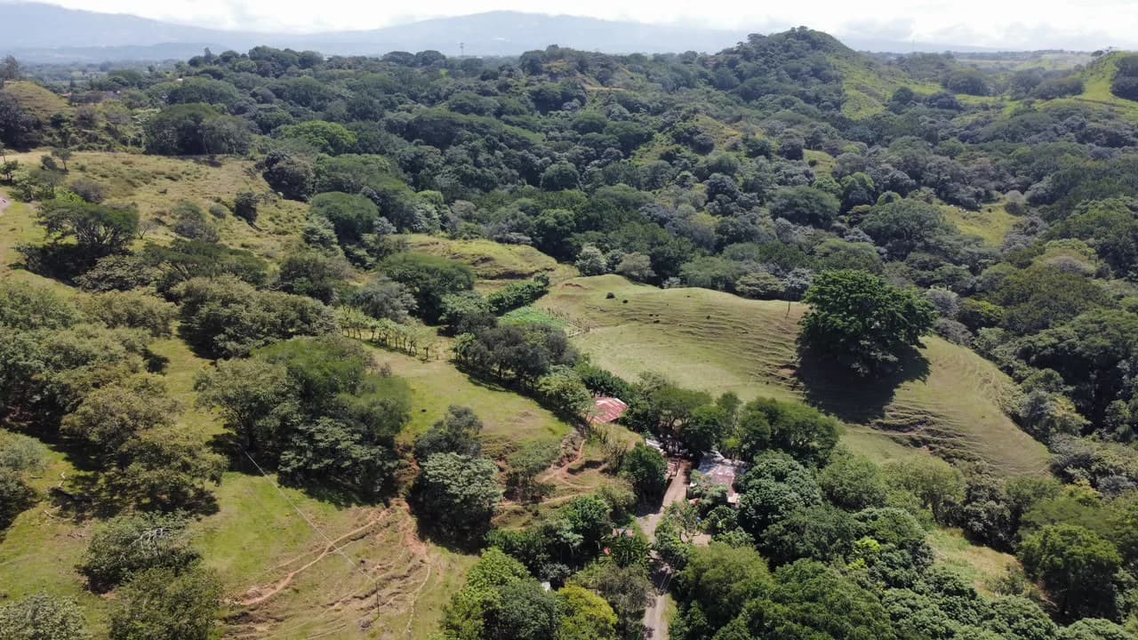 Large-Scale Investment: 108 ha. Industrial Rock Quarry & Diversified Investment Property - photo 18