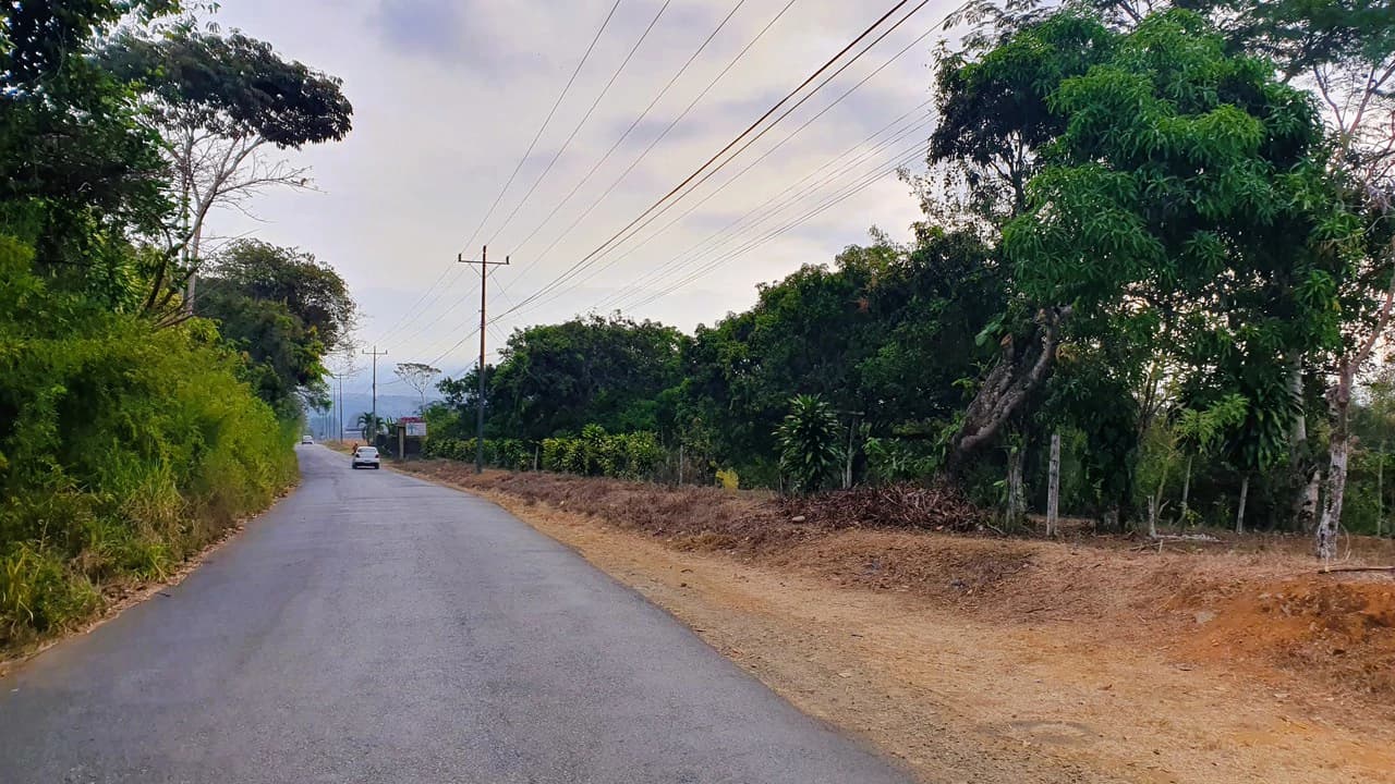 FRUIT TREE PROPERTY FOR SALE: Home Construction Site For Sale in San Isidro del General - photo 9