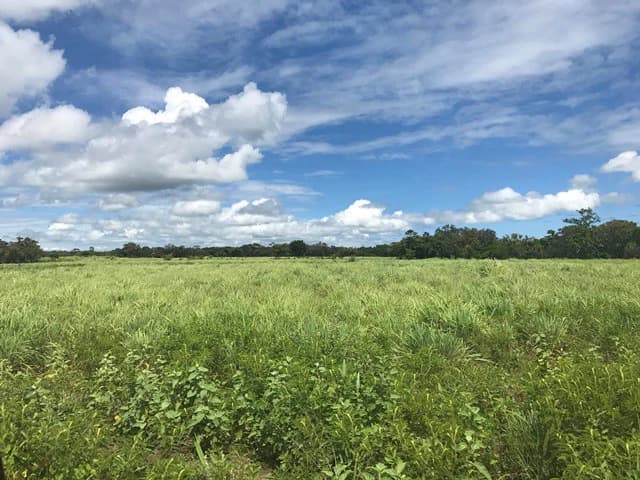NYA project Price $ 17 m². 21 hectares - photo 2