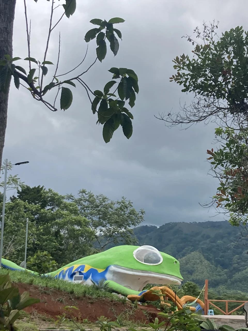 Frog Desing House: Property for Sale in Parrita, Costa Rica - photo 10