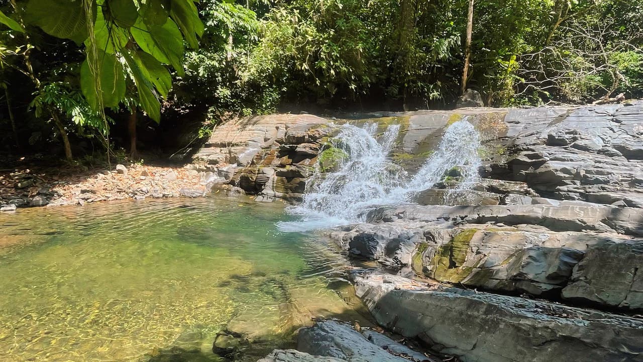 FINCA CERRO DEL TIGRE! OVER 20 ACRES OF PRIMARY FOREST AND WATERFALLS.: Mountain Agricultural Land For Sale in La Unión - photo 26