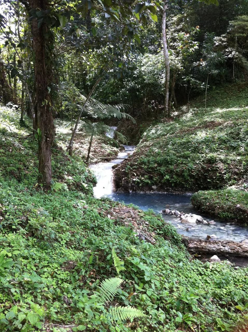 Hot and Cold Thermal Springs for Sale – Beautiful Property in Dos Ríos, Alajuela with Excellent Commercial Potential - photo 74
