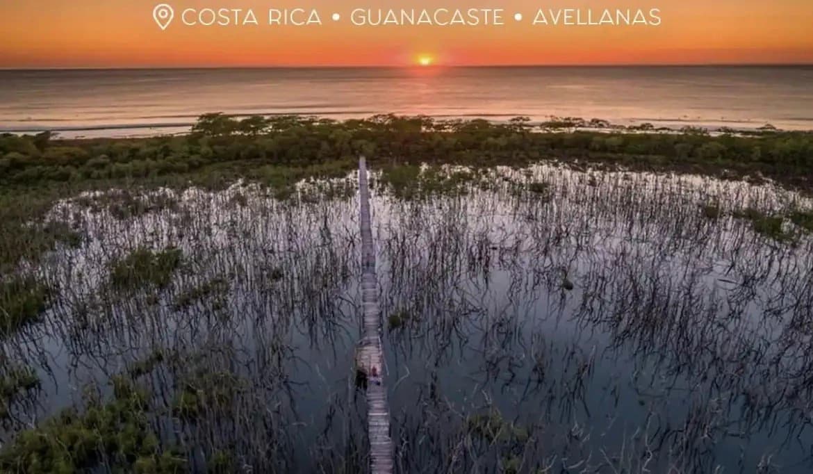 Near the Coast House For Sale in Playa Avellanas - photo 8