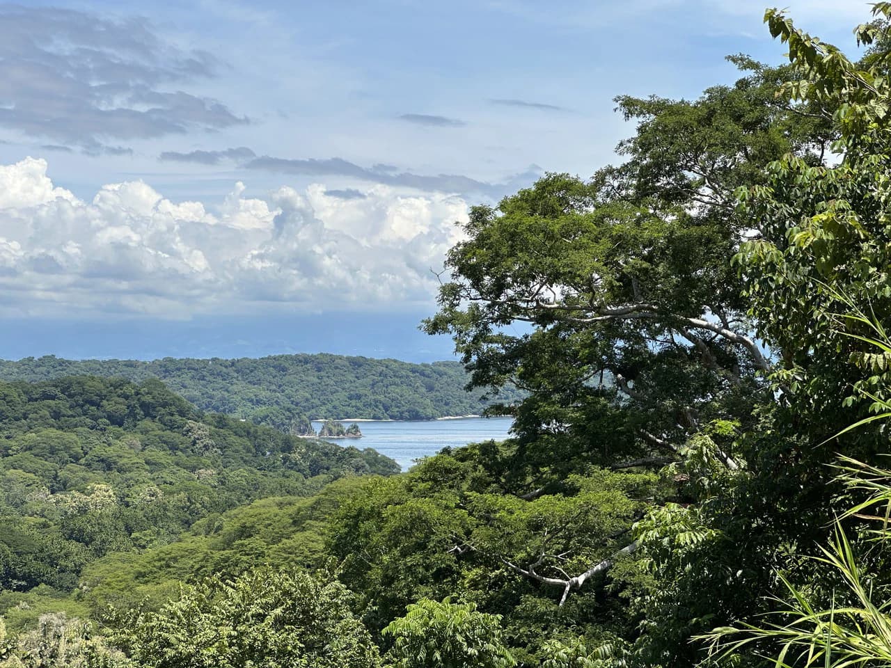 Lote by Naranjo Beach - Blue zone: Ocean View Lot By The Beach: Nicoya Peninsula - photo 4