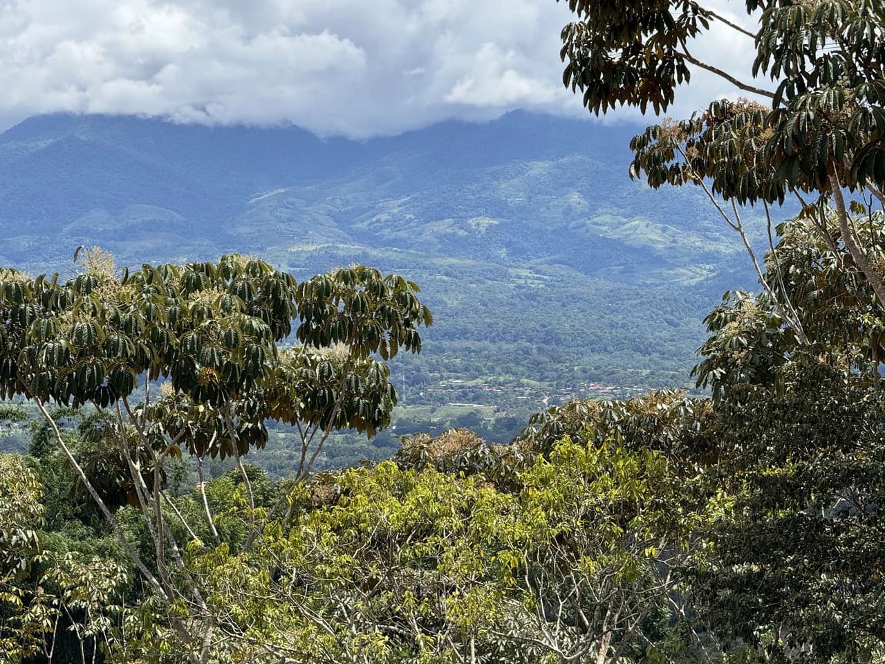 Prime 40,000 Sq. Ft. Building Lot with Mountain & Valley Views in Pérez Zeledón - photo 18
