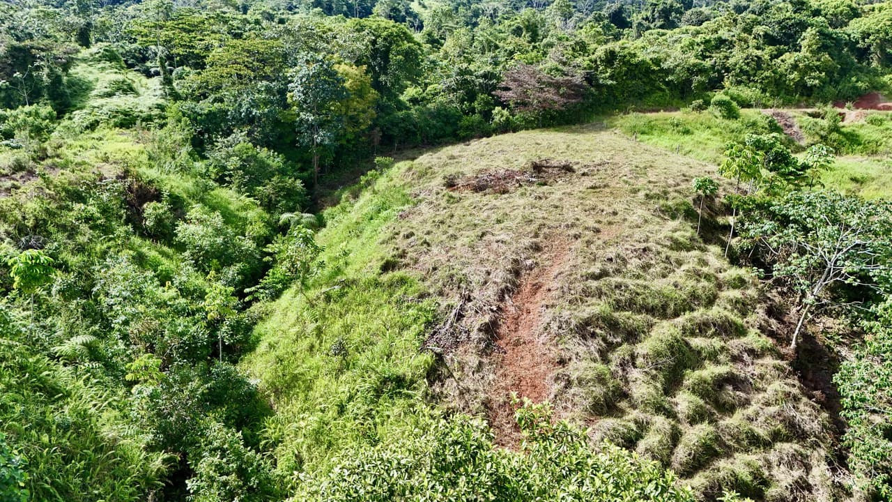 Off-Grid Ocean View Lot | 1.7 Acres in Las Nubes Matapalo Hills - photo 12