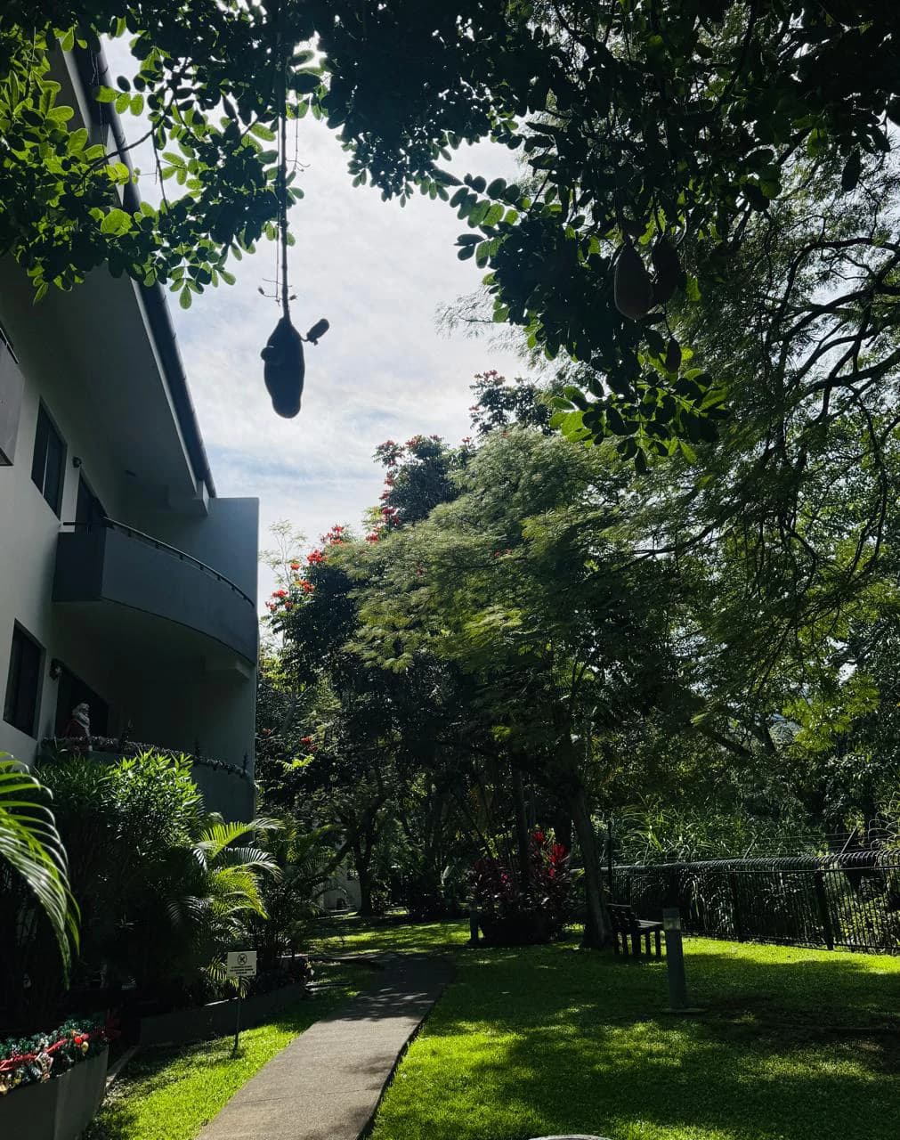 2 bedroom furnished apartament for sale Santa Ana Costa Rica - photo 25