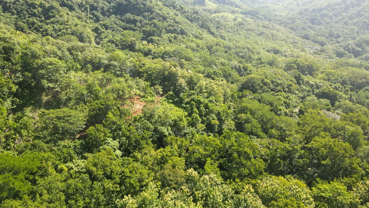 Farm for sale Bejuco Nandayure Guanacaste Costa Rica - photo 7
