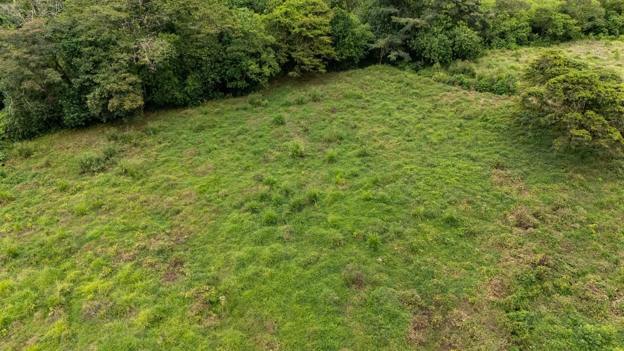 Mountain Home Construction Site For Sale in Río Nuevo - photo 17