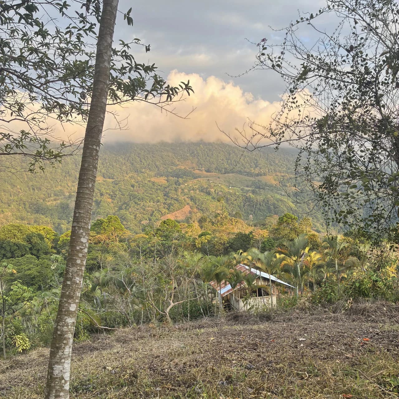 Ocean & Mountain View Lot with Multiple Building Sites-20 Minutes from Uvita - photo 4