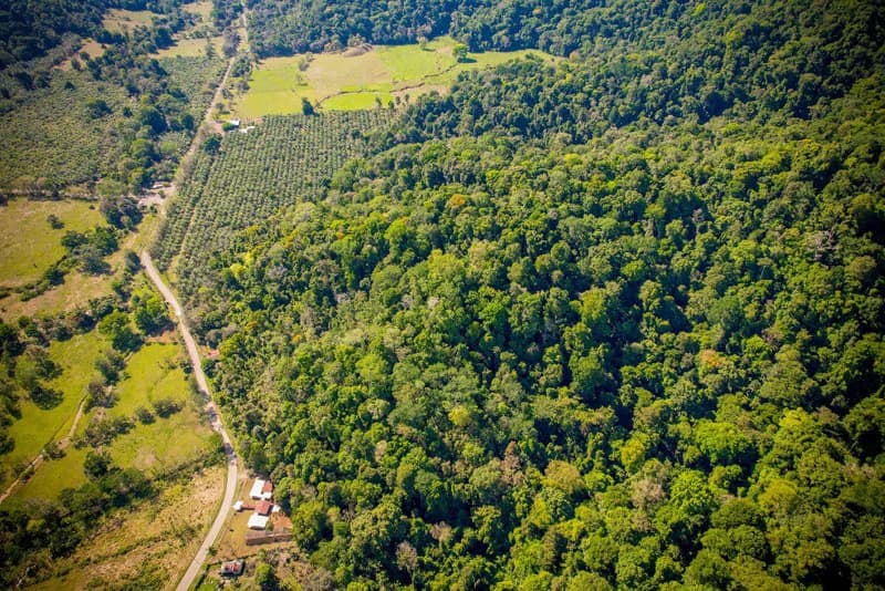 Ocean View & Primary forest 55-ha Rincon de Osa - photo 31