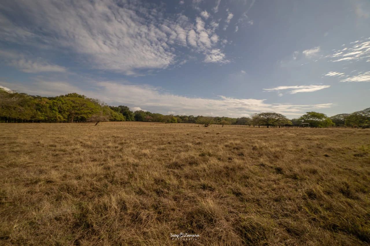 Land for Sale Lepanto Puntarenas overlooking the Gulf Costa Rica - photo 9