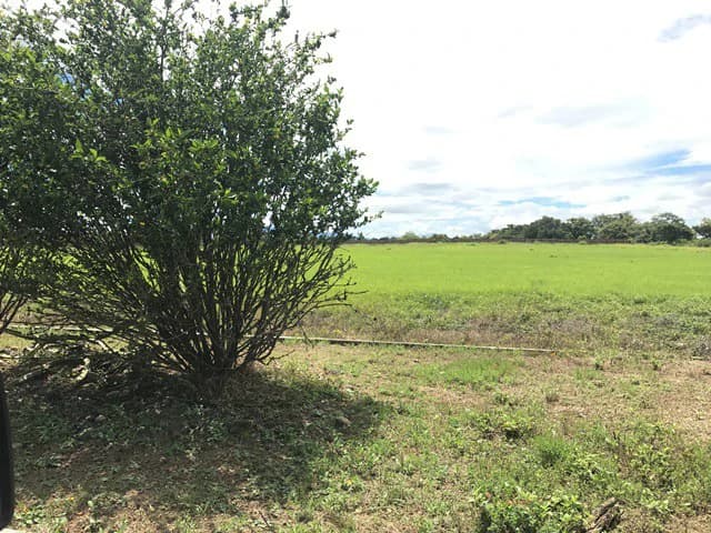 Large Development Land for Sale in Liberia, Guanacaste, Costa Rica - photo 69