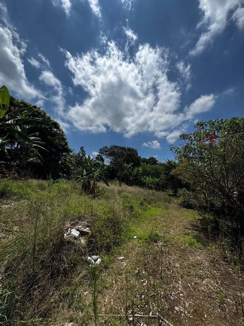 Finca with Views!: It's Perfect for You! - photo 9