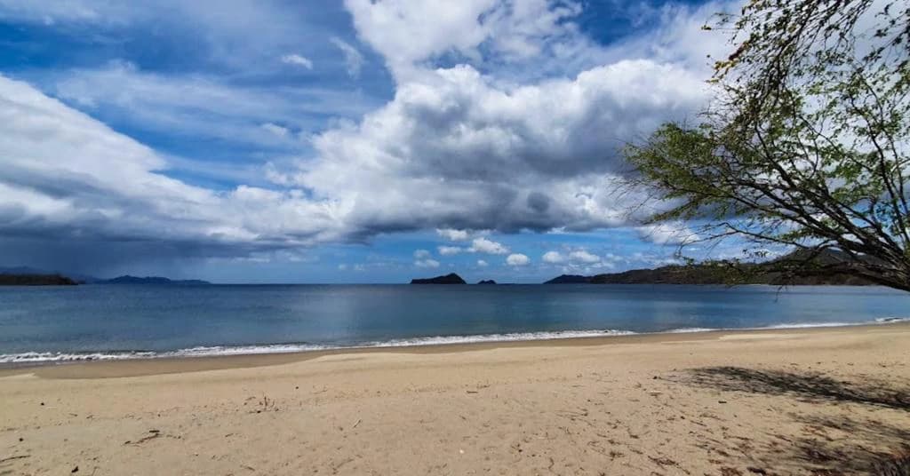 220 Acres Beachside Farm with Ocean View at Playa Junquillal in Guanacaste - photo 2
