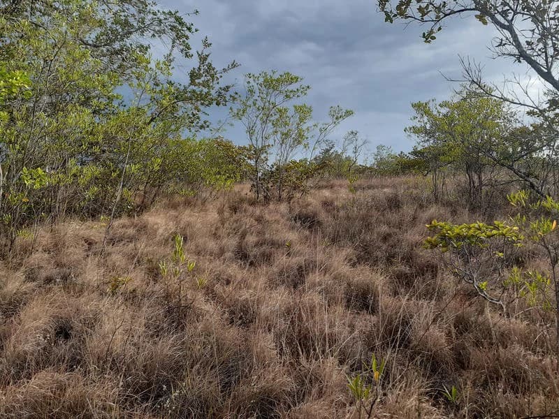 T37: Mountain Home Construction Site For Sale in Curubandé