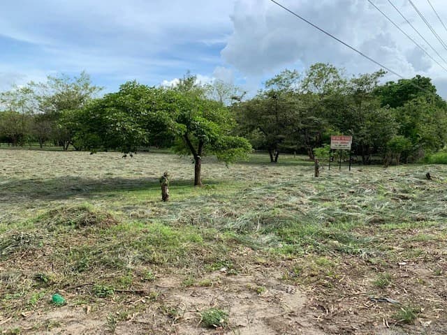 Sale commercial lot in front of the transito Liberia Guanacaste - photo 2
