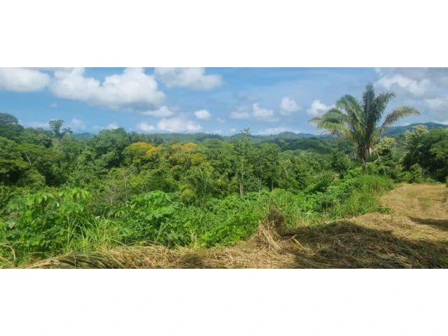 Mountain View property for sale in Samara, stunning 360 nature views land perfect for building - photo 9