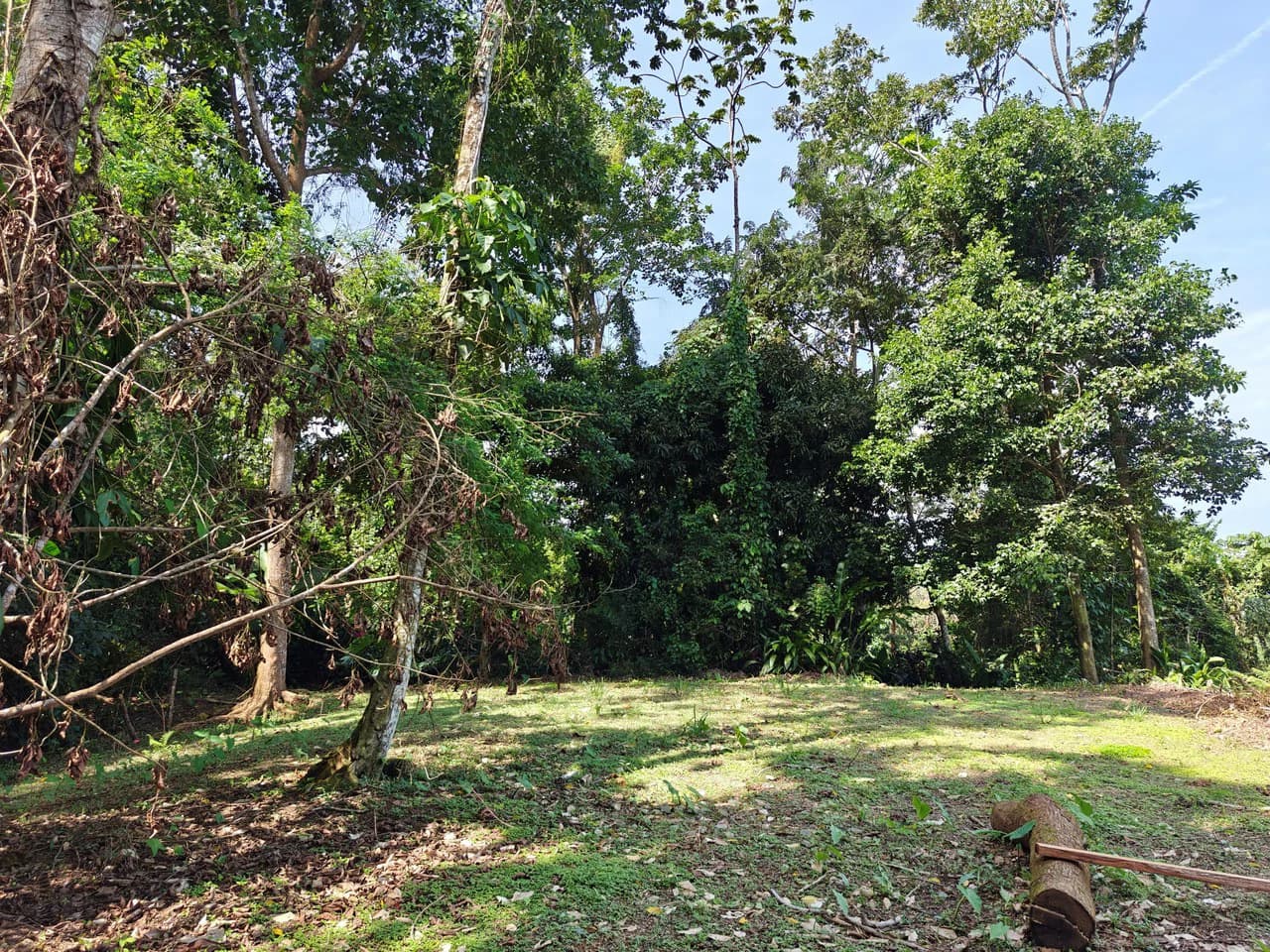 61,618m² of Land near Cahuita: With Existing Infrastructure and Ocean View - photo 4