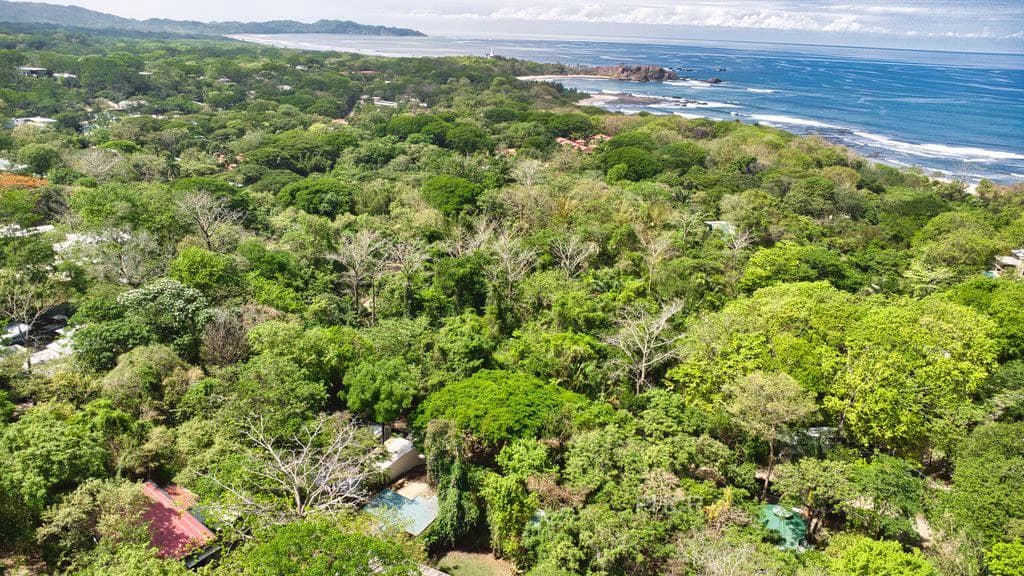 Casa Mareva: Luxury Tropical villa 5 minutes from Playa Pelada - Guiones Nosara - photo 8