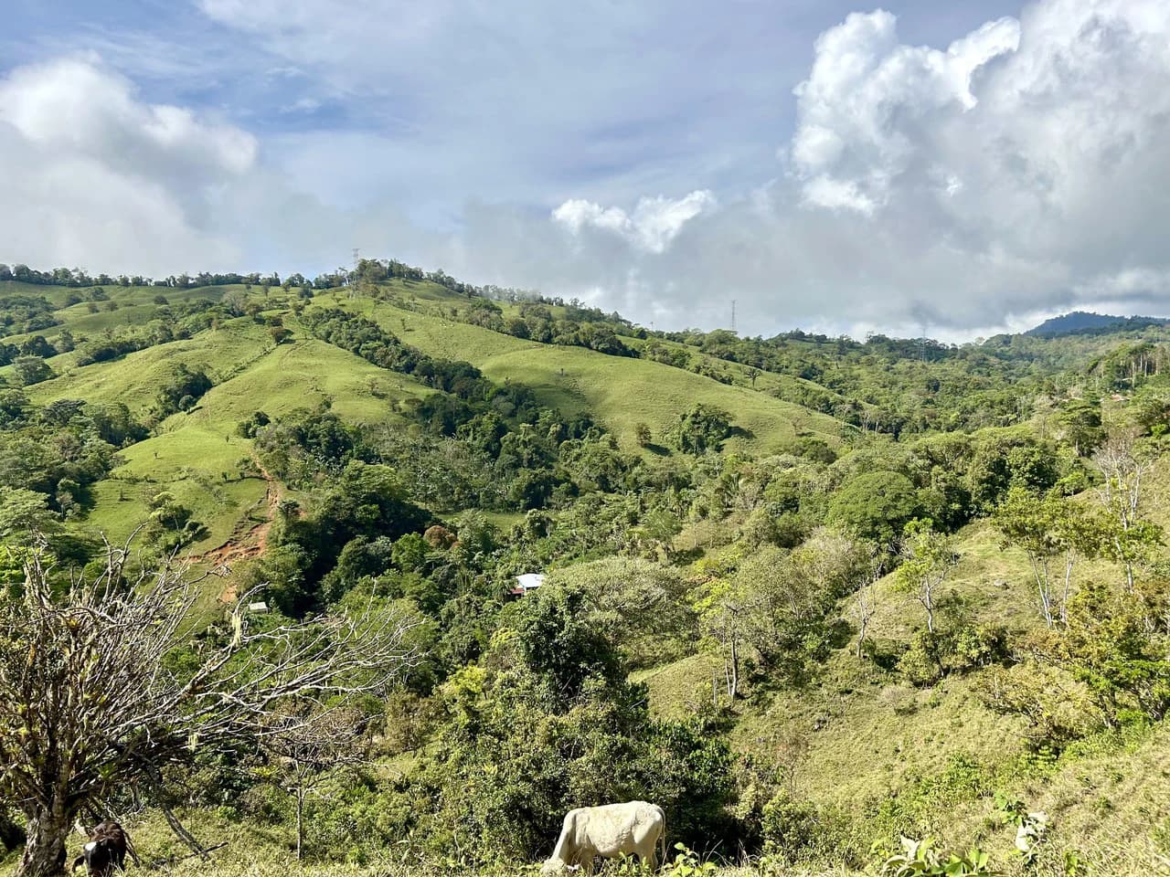 Finca Ceibo Memo: Mountain Home Construction Site For Sale in San Isidro del General - photo 37