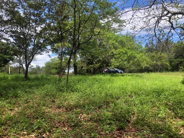 Mountain Farm for Sale in Liberia – Nature, Privacy, and High Investment Potential - photo 35