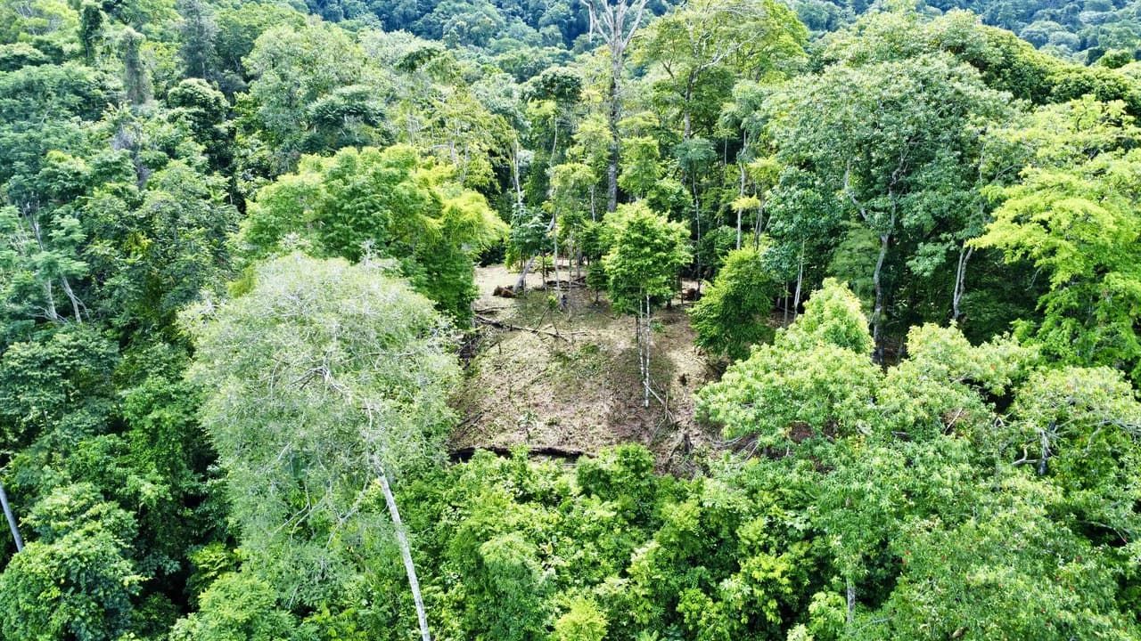 Marvelous Ocean View Parcel in Uvita. - photo 2