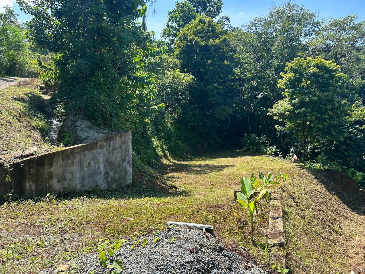 Reasonable Lot for sale in Uvita - photo 12
