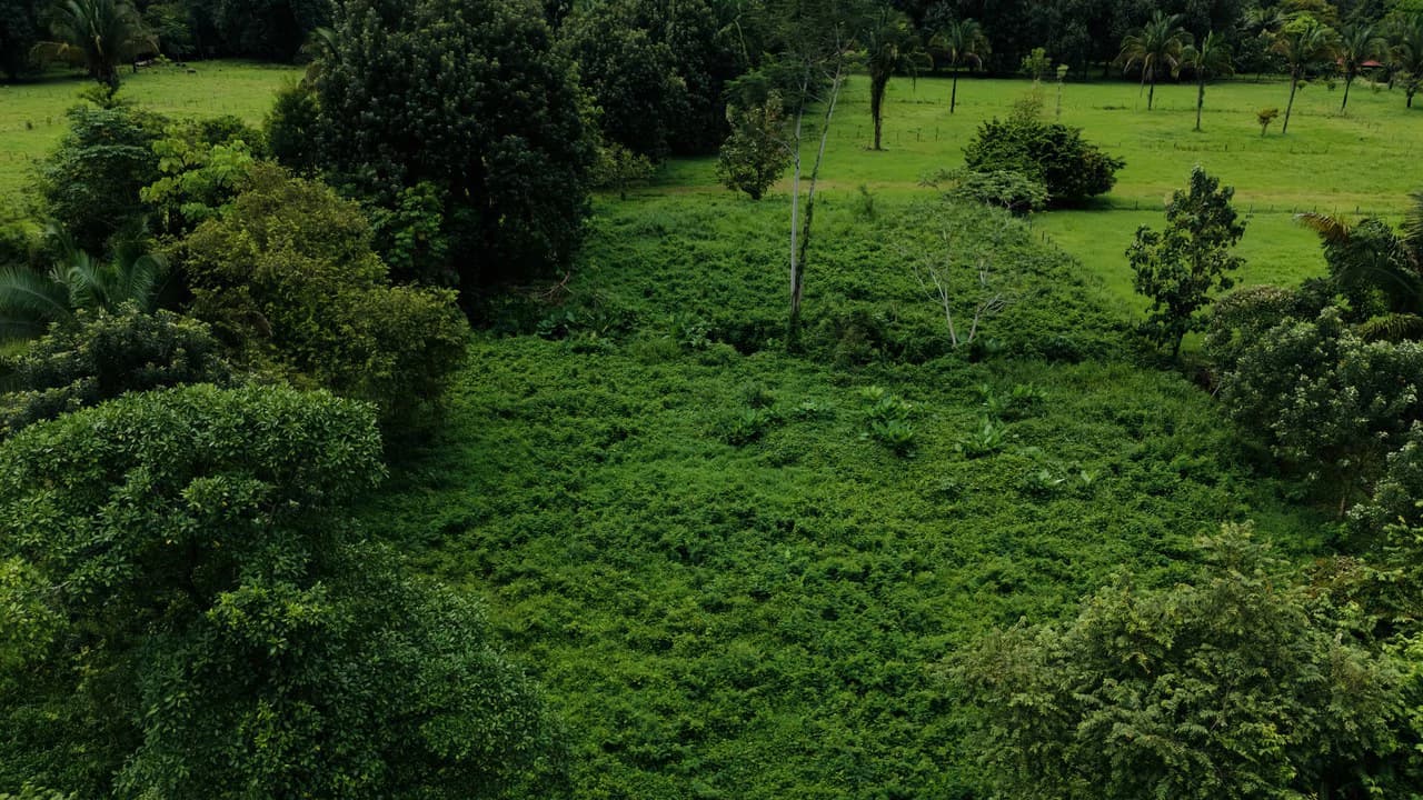 Strategic 5000sqm Commercial Property in Uvita: Perfect for any Business Vision