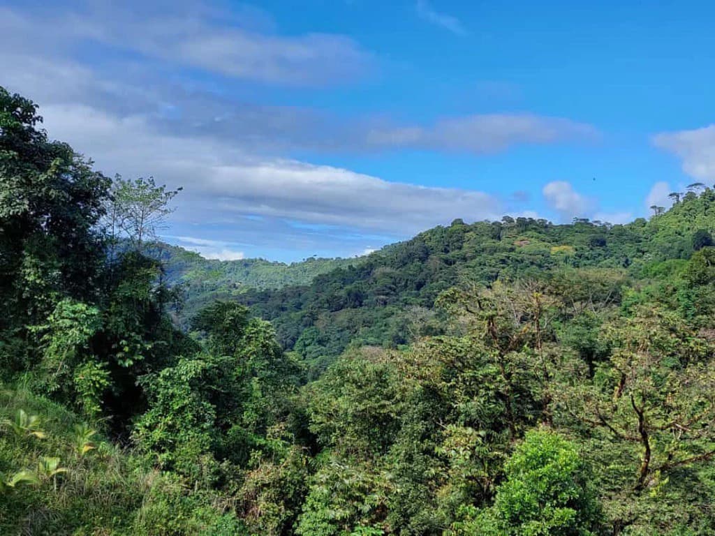 SECLUDED PARADISE WITH STUNNING VIEWS, WATERFALLS & ABUNDANT WILDLIFE - photo 19
