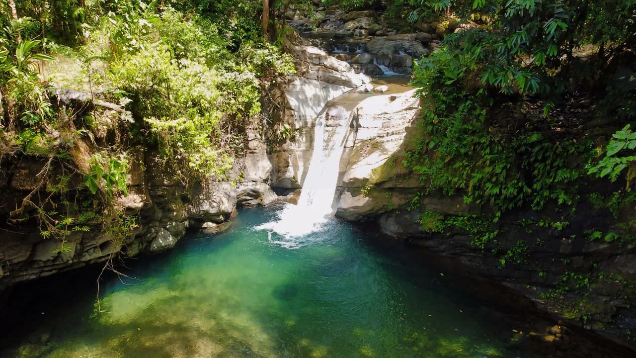 FINCA CERRO DEL TIGRE! OVER 20 ACRES OF PRIMARY FOREST AND WATERFALLS.: Mountain Agricultural Land For Sale in La Unión