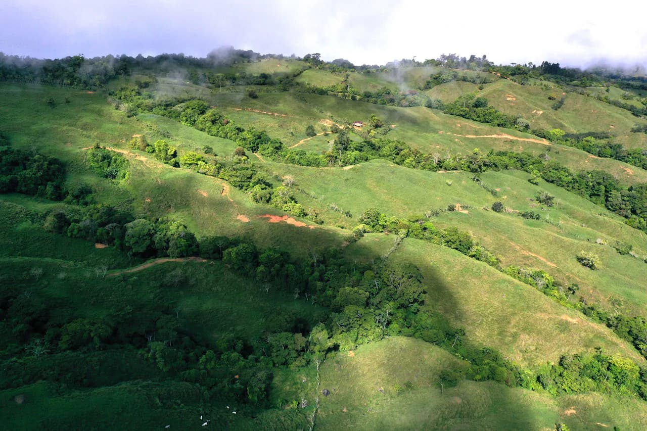 150 Acre Cattle Ranch with Panoramic Views Above the mountains of Uvita - photo 12