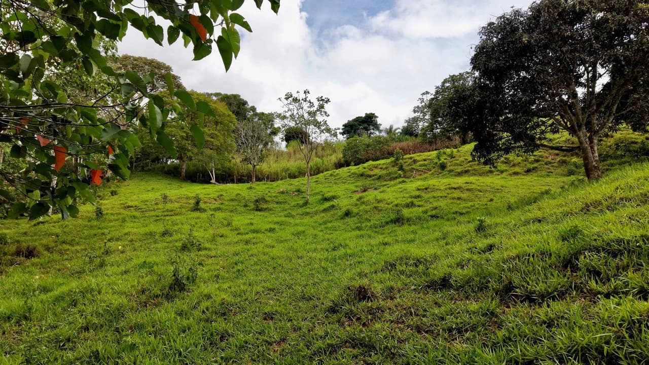 Countryside Home Construction Site For Sale in Centro de Pérez Zeledón - photo 21